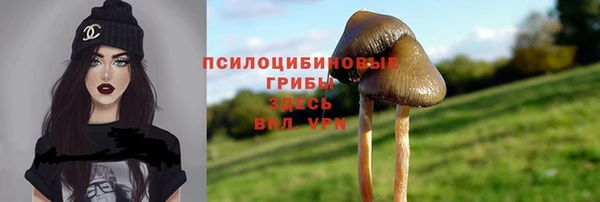 амфетамин Котовск